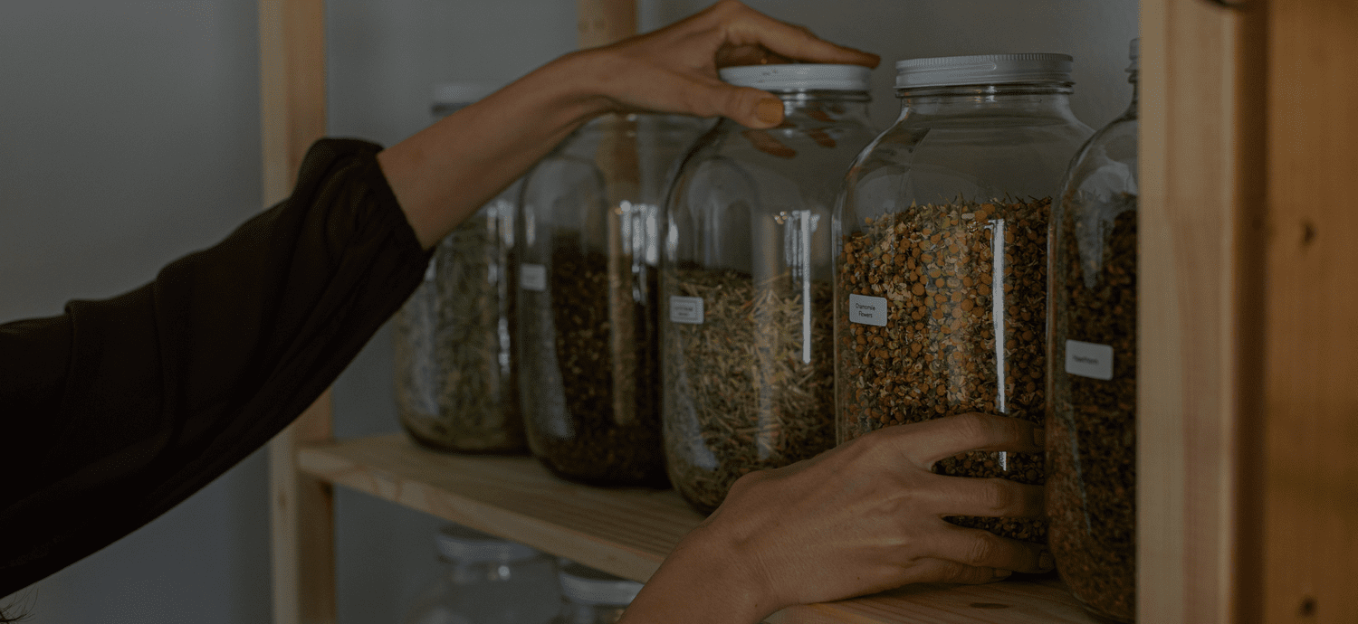 Hands selecting dried herbs from glass jars on a studio shelf